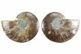 Cut & Polished Crystal-Filled Ammonite Fossil - Madagascar #364758-1